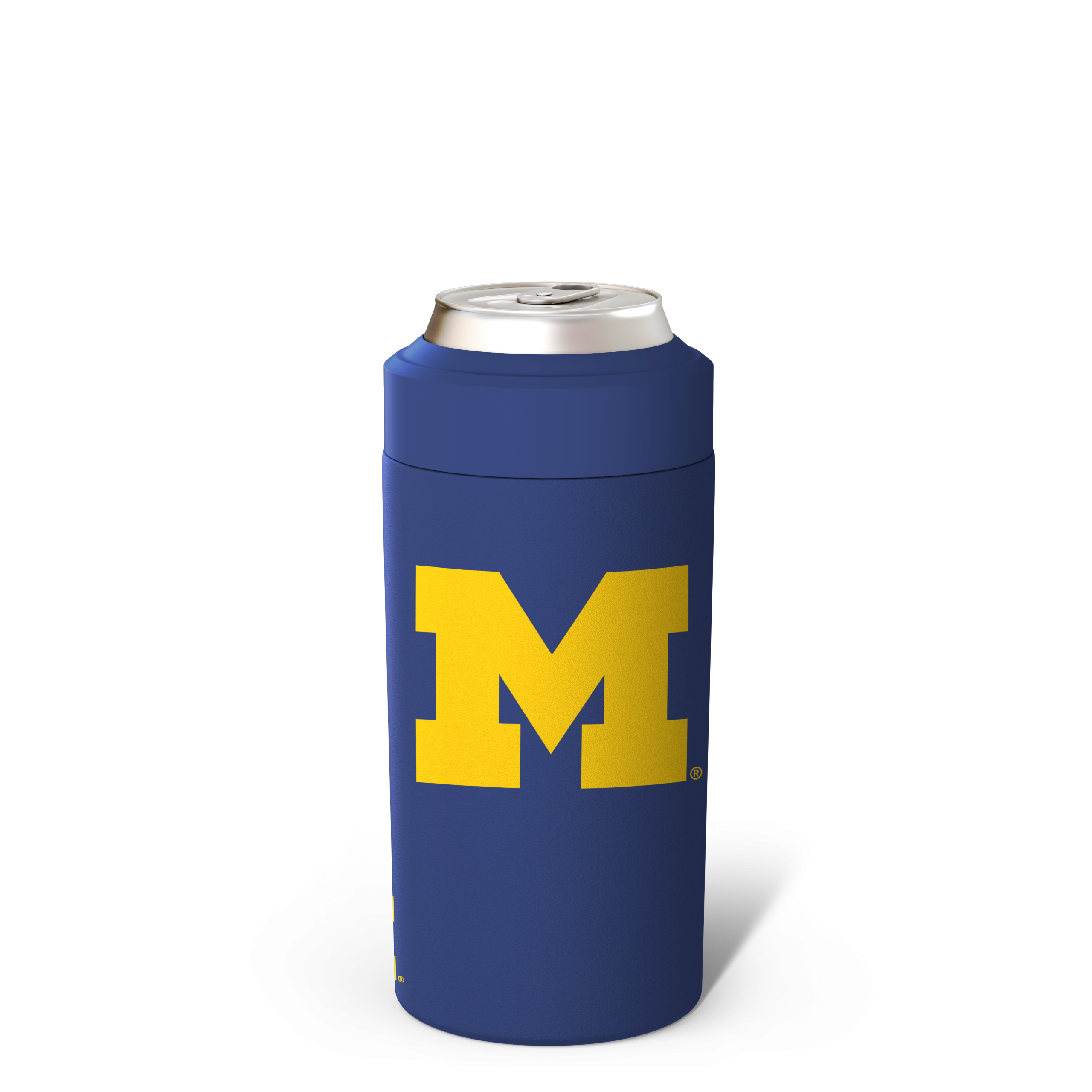 back_618e8bb8-d366-4671-9764-c7c9e60062db.png